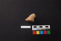 陶片藏品圖，第2張