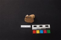 陶片藏品圖，第3張