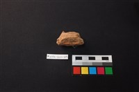 陶片藏品圖，第3張