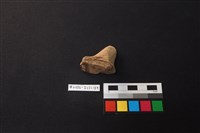 陶片藏品圖，第3張