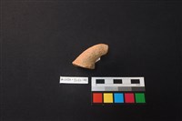 陶片藏品圖，第2張