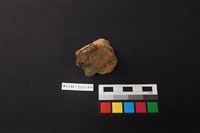 陶片藏品圖，第4張