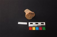 陶片藏品圖，第3張