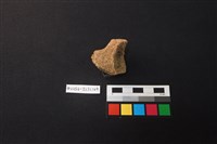 陶片藏品圖，第2張