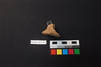 陶片藏品圖，第3張