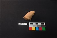 陶片藏品圖，第2張