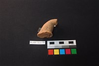 陶片藏品圖，第2張