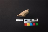 陶片藏品圖，第2張