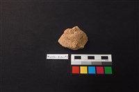 陶片藏品圖，第1張