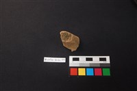 陶片藏品圖，第1張