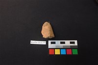 陶片藏品圖，第2張