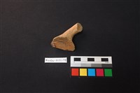 陶片藏品圖，第3張