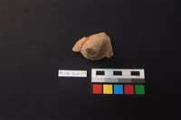 陶片藏品圖，第1張