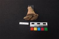 陶片藏品圖，第2張