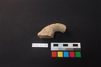 陶片藏品圖，第2張