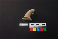 陶片藏品圖，第2張