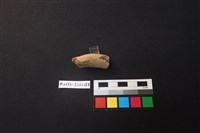 陶片藏品圖，第2張