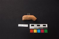 陶片藏品圖，第3張