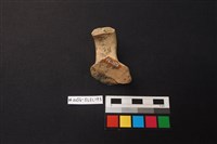 陶片藏品圖，第2張