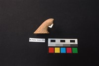 陶片藏品圖，第3張