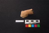 陶片藏品圖，第1張