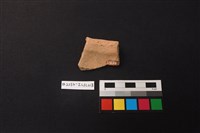 陶片藏品圖，第2張