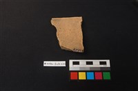 陶片藏品圖，第2張