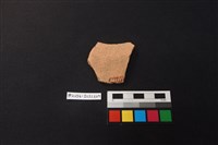 陶片藏品圖，第2張