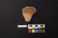 陶片藏品圖，第1張