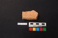 陶片藏品圖，第2張