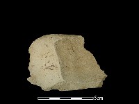 石片藏品圖，第2張