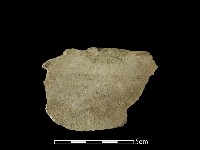 石片藏品圖，第1張