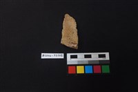 陶片藏品圖，第2張