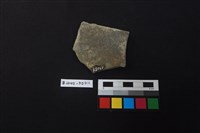 陶片藏品圖，第2張