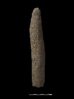 石杵藏品圖，第4張