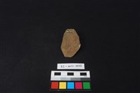 斧鋤形器藏品圖，第2張