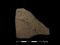 陶片藏品圖，第1張