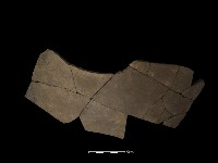 陶片藏品圖，第2張