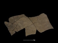 陶片藏品圖，第3張