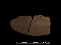 陶片藏品圖，第2張