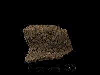 陶片藏品圖，第2張