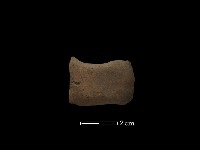 陶耳藏品圖，第2張