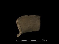 陶片藏品圖，第1張