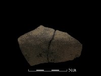 陶片藏品圖，第2張