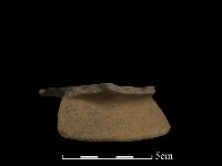 陶片藏品圖，第4張