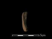 陶缽藏品圖，第1張