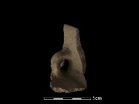 陶片藏品圖，第3張