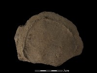 陶片藏品圖，第2張