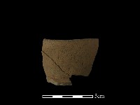 陶片藏品圖，第2張