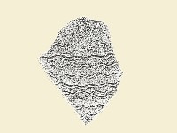 陶片藏品圖，第2張